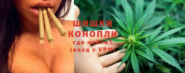 сатива Елабуга