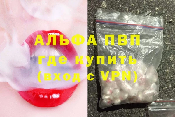 сатива Елабуга