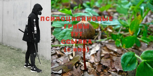 сатива Елабуга