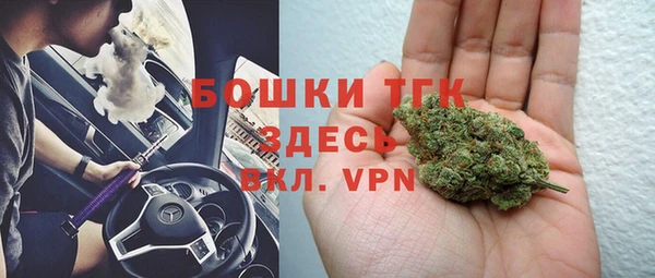 сатива Елабуга