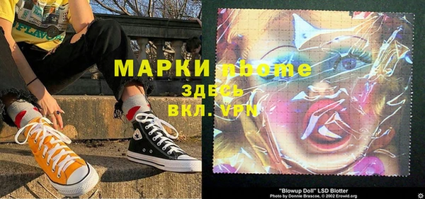 сатива Елабуга